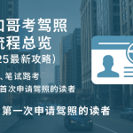 2025年芝加哥考驾照专题封面图，背景为城市街道，配有驾照图标与中文标题