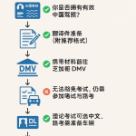 中国驾照在芝加哥申请美国驾照的流程图解，包含材料清单、翻译建议、考试步骤与常见误区提醒