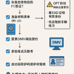 F1学生芝加哥考驾照流程图，涵盖预约材料与OPT特别注意事项